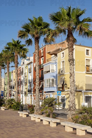 Colorful beachfront houses