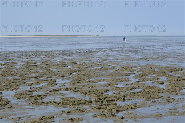 Hikers on the mudflats