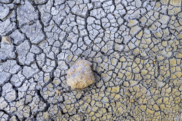 Colourful dried mud at Hengill Geothermal Area