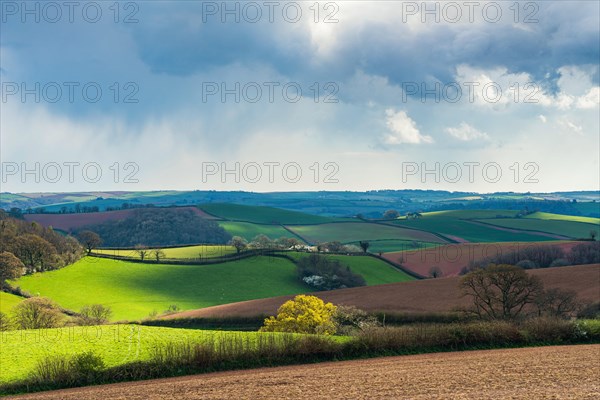 Dramatic clouds and sky over fields of Berry Pomeroy