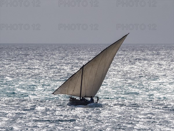 Dhow