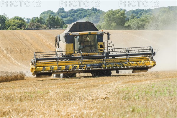 Threshing of grain with combine harvester at Ystad