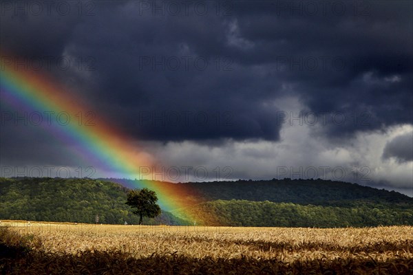 Rainbow over field in the Werratal