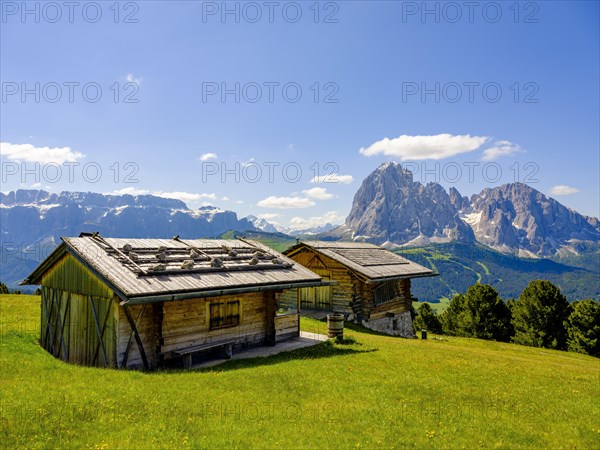 Alpine huts