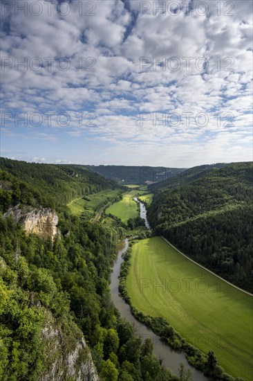 View from the Knopfmacherfelsen into the Danube valley