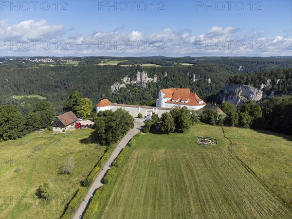 Wildenstein Castle