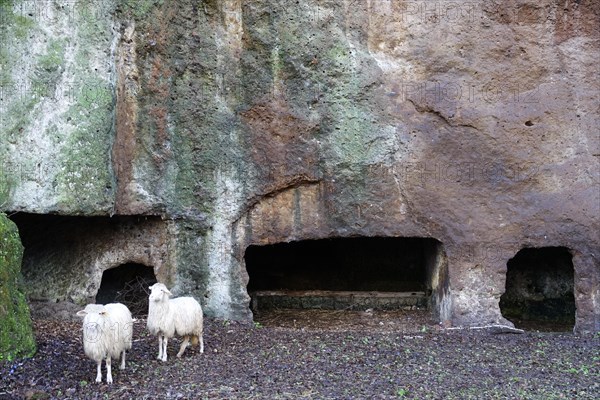 Etruscan tombs carved out of the tufa