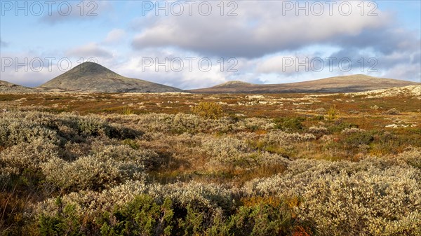 Autumn fells