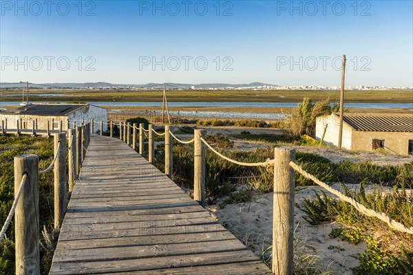 Wooden walkways with view on wetlands of Ria Formosa on Faro Beach Peninsula