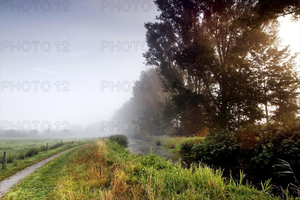 Grassland in the Droemling at sunrise