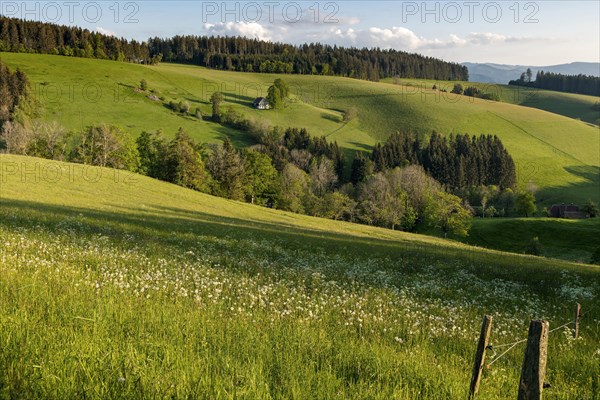 Lonely farmhouse in hilly landscape