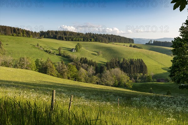 Lonely farmhouse in hilly landscape