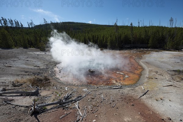 Steaming hot spring