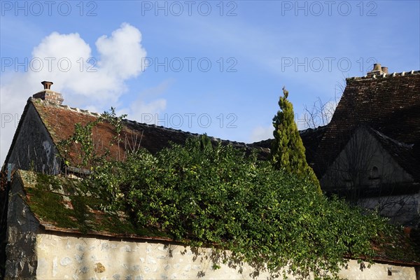 Rue Maufranc