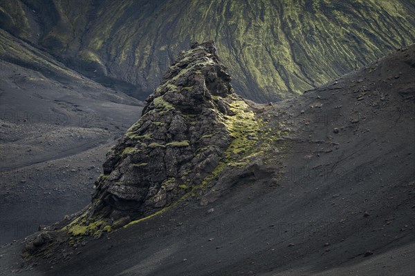 Mossy rock