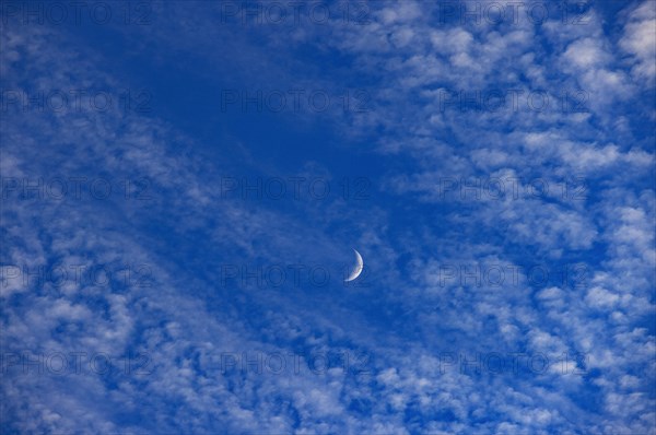 Altocumulus clouds with crescent moon