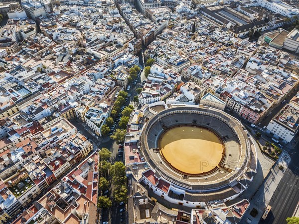 Bullring of the Real Maestranza de Caballeria surrounded by white architecture in Sevilla