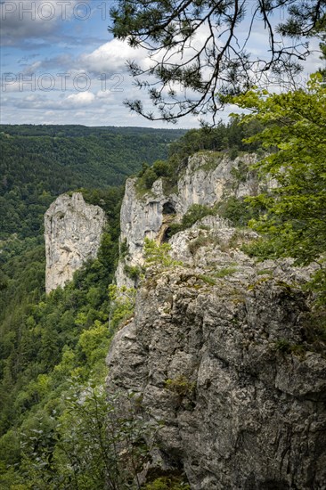 Limestone rocks