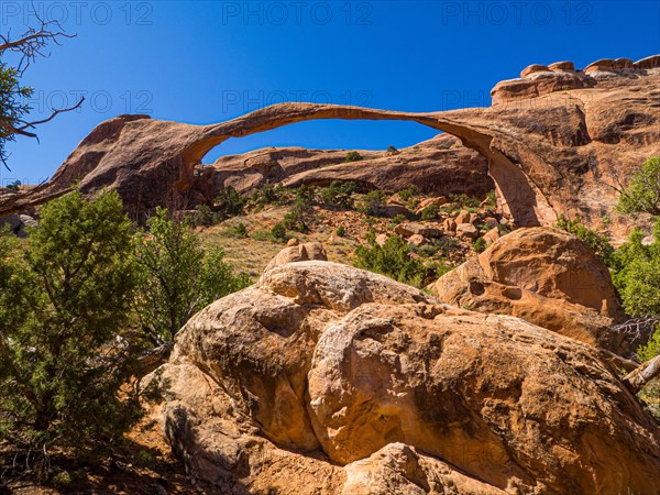 Landscape Arch