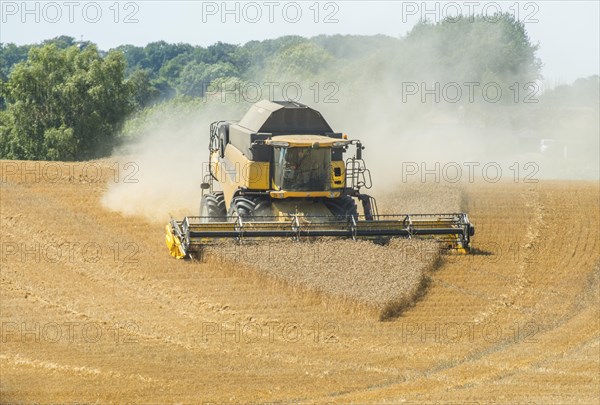 Threshing of grain with combine harvester at Ystad