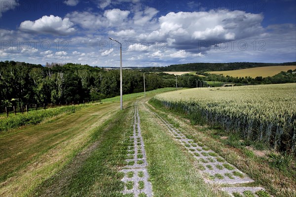 Border fortification with Kolonnenweg