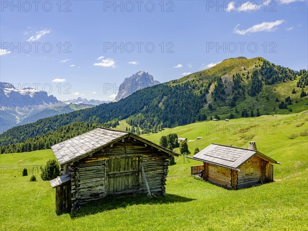 Alpine huts