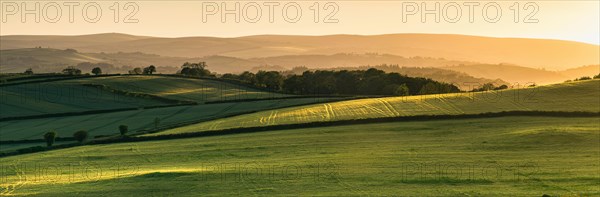 Sunset over fields in Berry Pomeroy Village