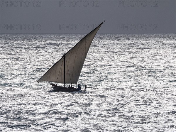 Dhow