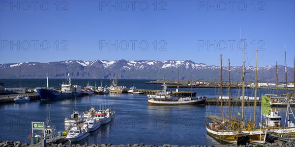 View into the harbour of