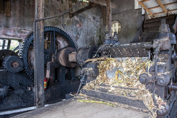 Sugar cane mill for traditional rum production