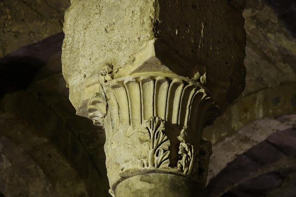 Capital of a column in the crypt of the Cathedral of S. Maria Assunta in cielo