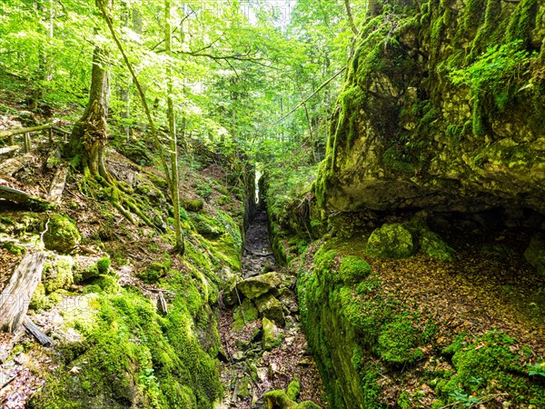 Alluvial canal for timber transport between Kammersee and Toplitzsee