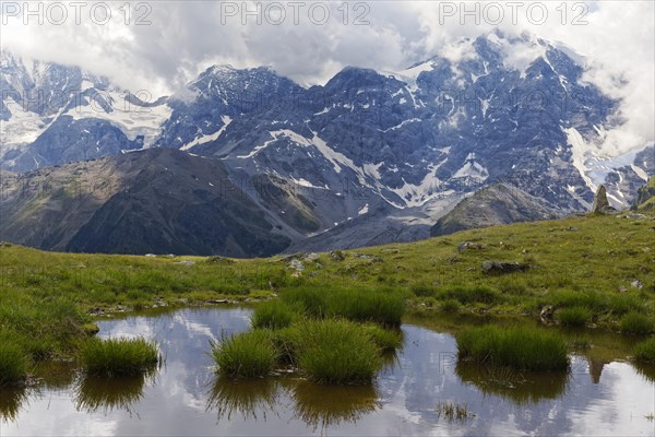 Small pond with tufts of grass and view of cloud-covered Ortler massif