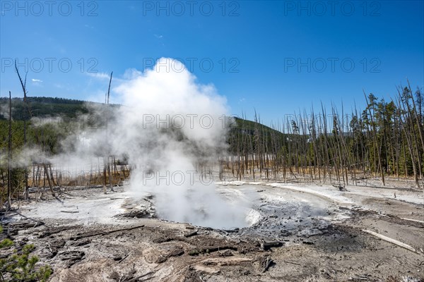 Steaming hot spring