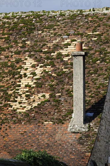 House roof in the Rue de Jouy