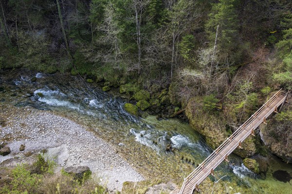 Steyrschlucht with wooden bridge over Steyr