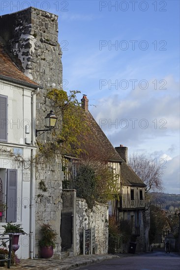 Half-timbered houses in the Rue Saint-Thibault