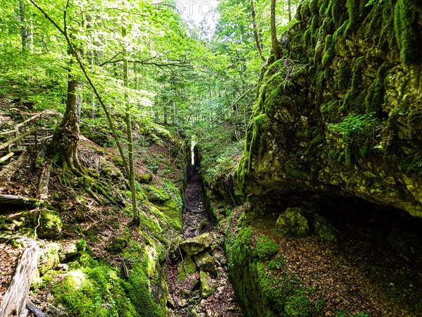 Alluvial canal for timber transport between Kammersee and Toplitzsee