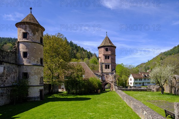 Hirsau Monastery