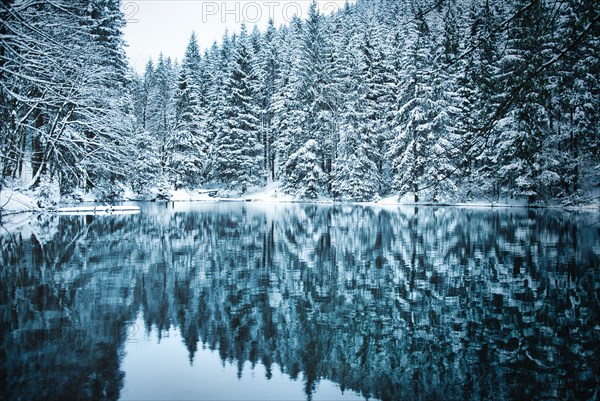 Lake in coniferous forest with snow