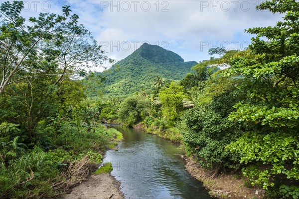 Little creek