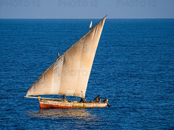 Dhow