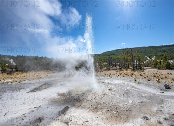 Water fountain in a steaming hot spring