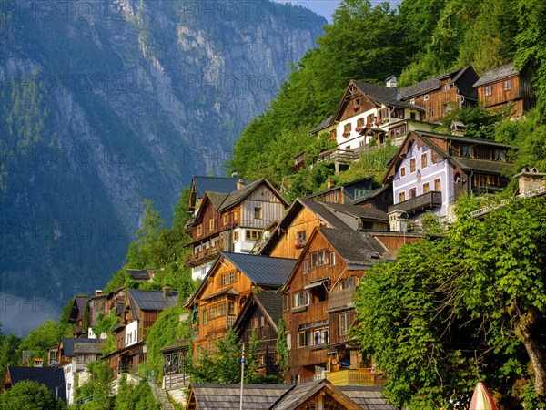 Residential houses in Hallstatt