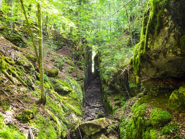 Alluvial canal for timber transport between Kammersee and Toplitzsee