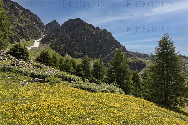 Ascent to the Schaubach Hut