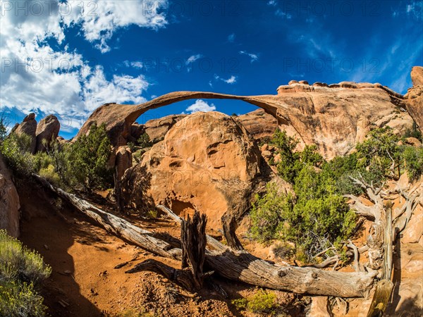 Landscape Arch