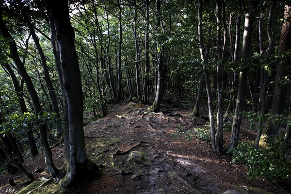 Hiking trail to the Teufelskanzel