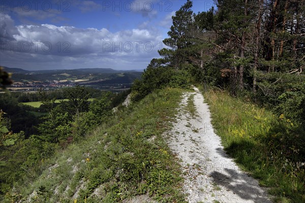 Hiking trail to Adolphsburg