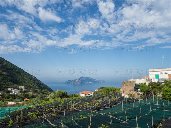 Island of Capri